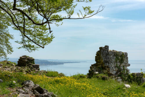 DSC5565