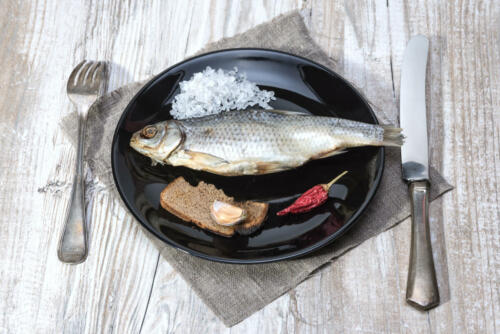 stockfish - roach on a black plate